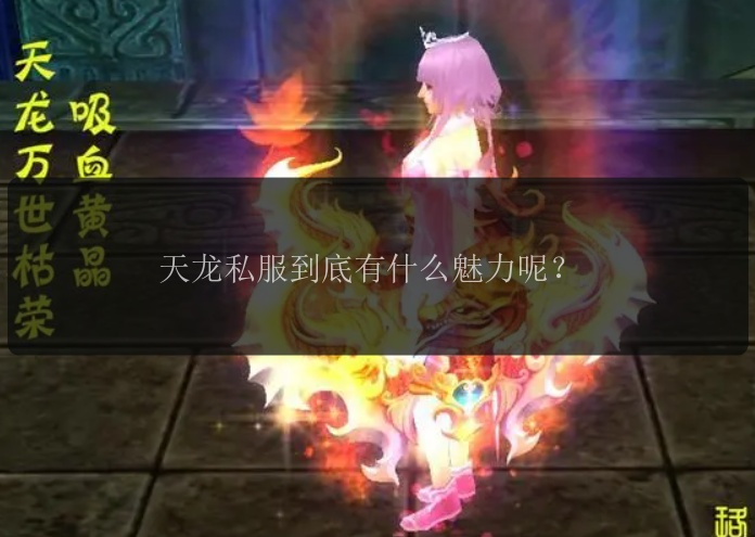 天龙私服到底有什么魅力呢？