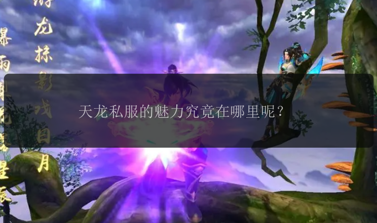天龙私服的魅力究竟在哪里呢？